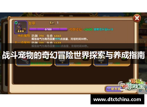 战斗宠物的奇幻冒险世界探索与养成指南